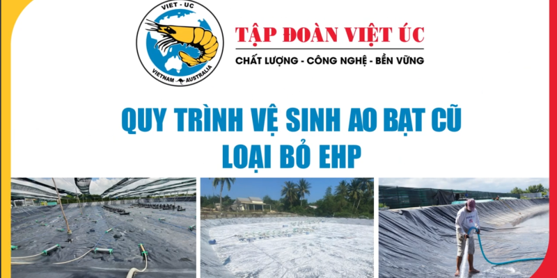 357-Cách-vệ-sinh-ao-bạt-cũ-phòng-EHP-YouTube-09-17-2025_03_36_PM