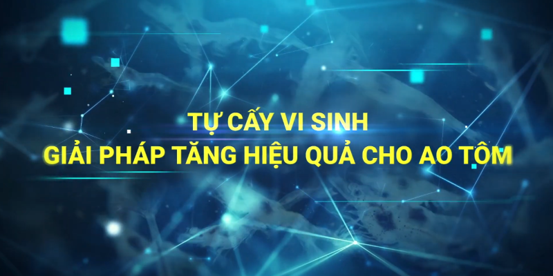 Tự-cấy-vi-sinh-Giải-pháp-tăng-hiệu-quả-cho-ao-Tôm-YouTube-09-30-2025_10_30_AM